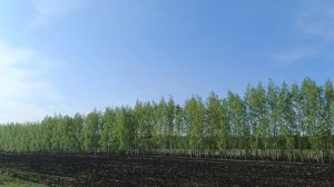 С праздником весны и труда!