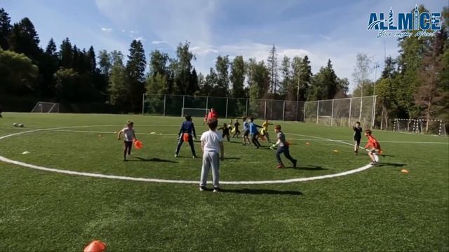 Организация спортивной фиесты в Подмосковье смотреть онлайн