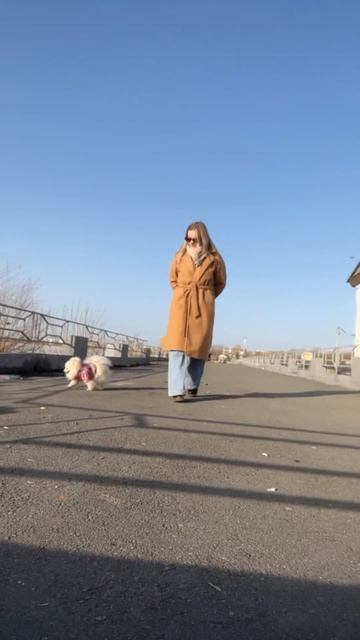 Дождались тепла!🥰☀️ #челябинск #shorts #врек #тренды #шпиц #врекомендации смотреть онлайн