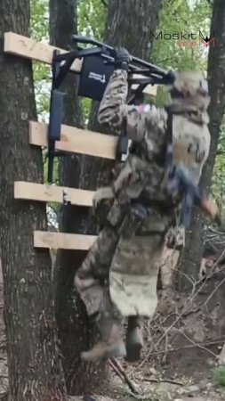 В здоровом теле, здоровый дух