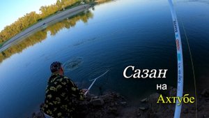 Летняя рыбалка на донки. Поймал сазана на Ахтубе