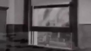1000032644.mp4