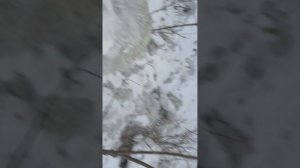 2 Часть строим базу