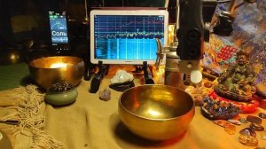 16.8СМ 307Ф СИ 244 ДО 256 744 1395 2180 ГЦ   818ГР 6.9К.