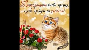 С Добрым Утром Понедельника! Удачной недели! Красивое пожелание доброго утра! Лёгкого понедельника!