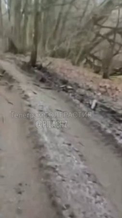 Встреча наших морпехов с бойцами из Серевной Кореи в Курской области.