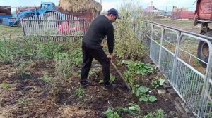 Внезапная покупка в с. Полтавке. Собираем первый урожай. #Казахстан #жизньвказахстане