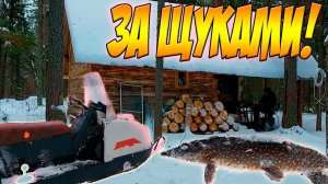 УЕХАЛИ ЗА ЩУКАМИ НА ОЗЕРА! ОХОТА ЗА ЗУБАСТОЙ ПРОДОЛЖАЕТСЯ! ЖЕРЛИЦЫ НА ЛЕСНЫХ ОЗЕРАХ, НОЧУЕМ В ИЗБЕ.