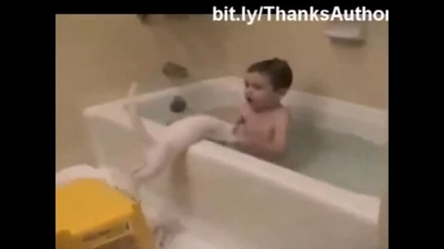 мокрые кошки смотреть онлайн