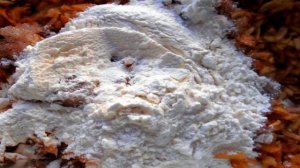 Драники из яблок с корицей