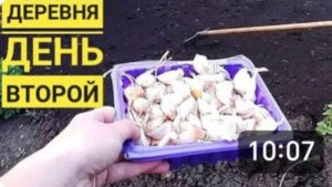 ДЕРЕВНЯ в мае. САЖАЮ ЧЕСНОК. ТРУД, МАЙ, МИР и вечером ШАШЛЫК. Открыли дачный сезон.