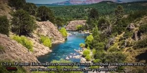 Коран сура Аль Бакара на фоне природы. Пища для души.  Против сихра.