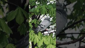 Gabrielle Duvoisin - Et si tu n'exitais pas