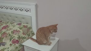 Новый спальный гарнитур. 🛌🛌🛌