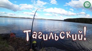 РЫБАЛКА НА ТАГИЛЬСКОМ НА ДОНКУ! ПОЛОВИЛ НЕМНОГО БЕЛИ НА БУТЕРБРОД, ВЕТЕР, ДОЖДЬ, РЫБАЛКА НА УРАЛЕ!