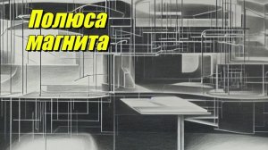 Полюса магнита