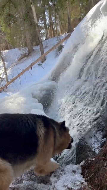 Водопад Счастья - Онненкоски. #карелия #питкяранта #ладога #петрозаводск #сортавала смотреть онлайн