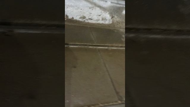 10 марта 2025 г., 21:34:03
ул. Белинского - переход
VID_20250310_213258947