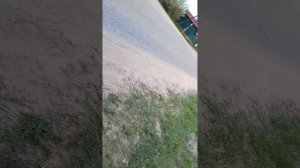 роща
