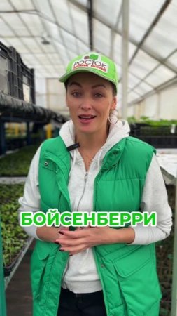 ТОП-3 сладких сорта ежемалины 🍇