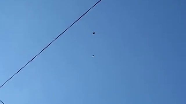 6 ноября 2018г пос новоэкономическое показываем что голуби тренеруются смотреть онлайн