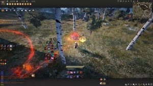 BLACK DESERT.🏮 Ninja Awakening PVP 🏮/ Ниндзя пробуда ПВП. From Zero to Hero. Week 3