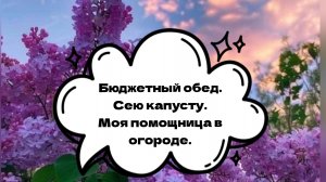 Бюджетный обед. Сею капусту.Моя помощница в огороде.
