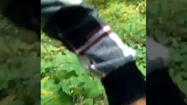 Русский лес. Дровосеки смотреть онлайн