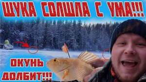 ЩУКА СОШЛА С УМА! ФЛАЖКИ СТОЯТ, ГДЕ УЛОВ? ХОРОШИЙ ОКУНЬ НА МОРМЫШКУ.