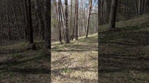 МОЯ МАЛАЯ РОДИНА