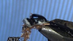 любимая мушка "жук"