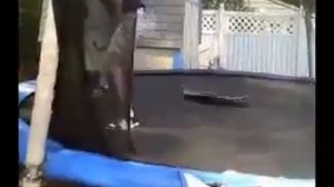 Скейтом по яйцам на батуте