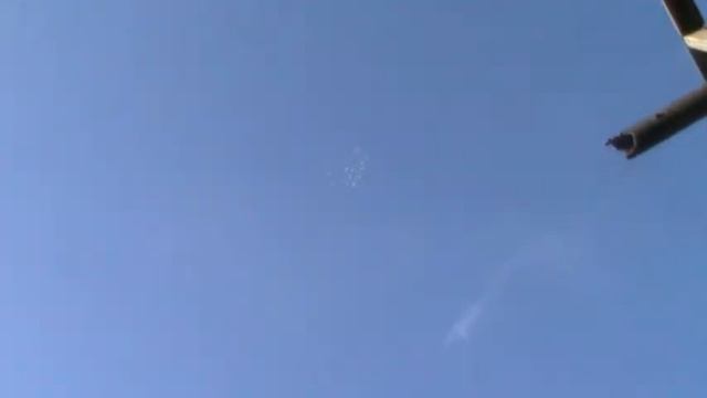 Пермские голуби