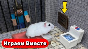 Побег Умного Хомяка из лабиринта-тюрьмы с ЛОВУШКАМИ 🐹🏃 Видео для детей