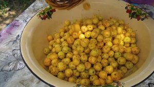 Приготовление варенья из диких яблок в деревне Азербайджанская Кухня Деревенская Кухня  Рецепты