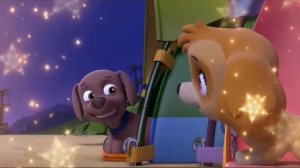 Зума и Скай(кис кис) Zuma & Skye