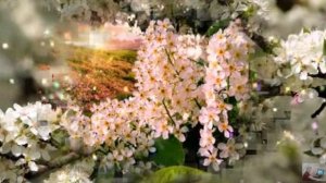 Александр Блок - Май жестокий с белыми ночами..., муз. и исп. #СамуилФрумович