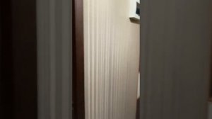 WhatsApp Video 2025-05-01 at 19.40.29