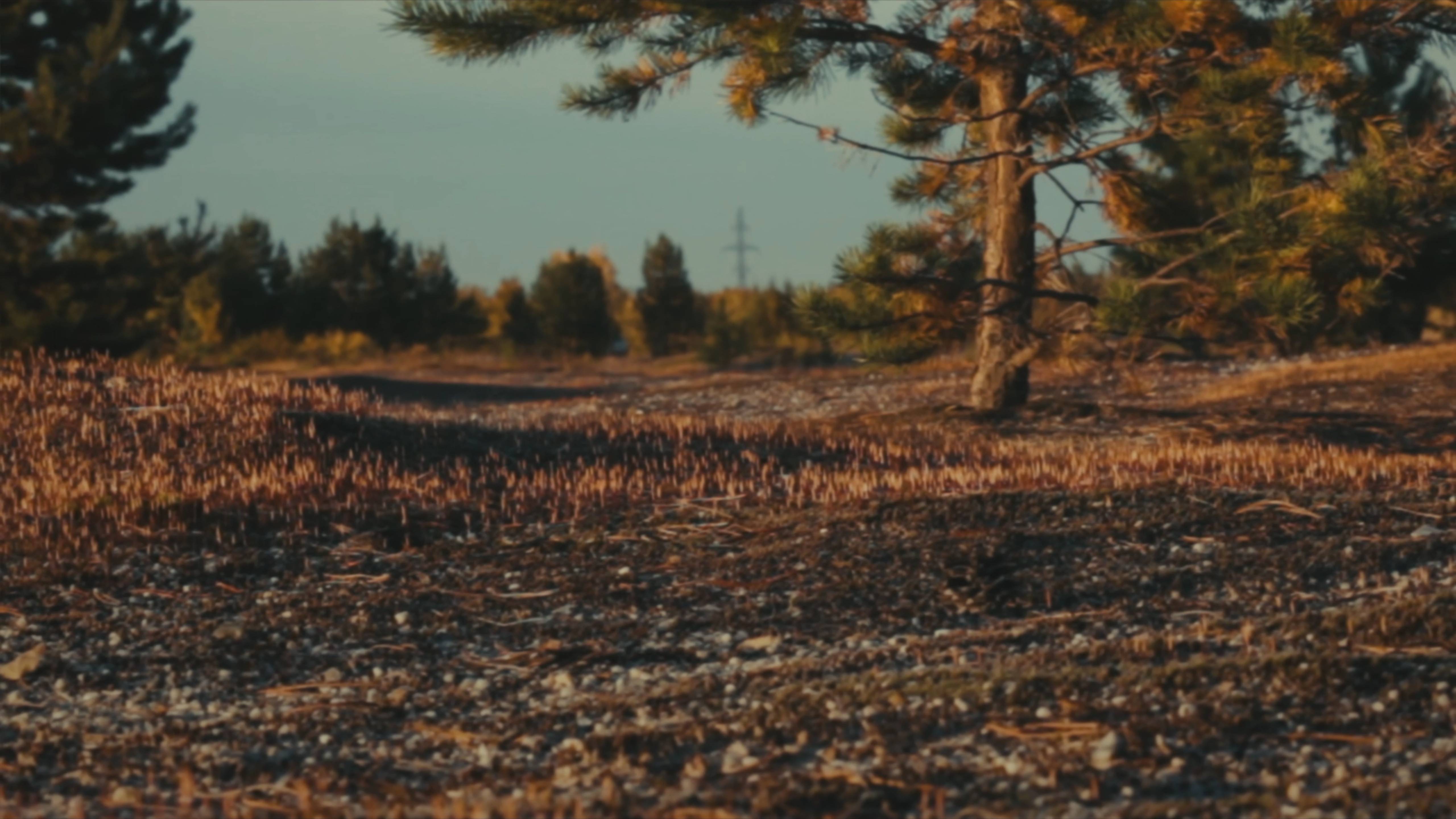 jam 01 смотреть онлайн