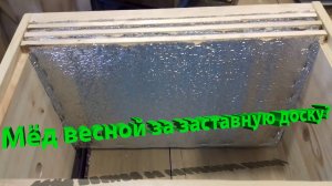 Весенний уход за пчёлами: профессор Пашаян объясняет, куда нельзя ставить мёд