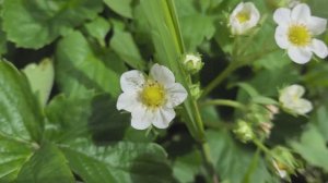 26.04 КРАСНОДАР В КОНЦЕ АПРЕЛЯ