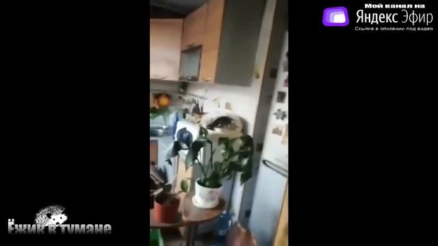 РЖАКА до Слез  BEST CUBE  Лучшие Видео из Инстаграм  BEST COUB  Видео Приколы  Отборные ПРИКОЛЫ Куб