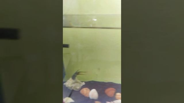 13 июля 2022 г. смотреть онлайн