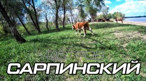 Остров Сарпинский 2025 часть 1: Димон уехал - колеса остались. Обзор антенны KB2/KM-01.
