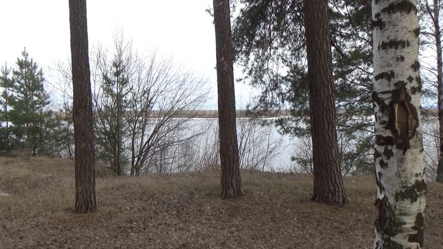 Берег реки
