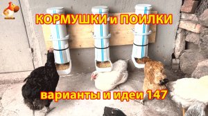 Кормушки и поилки для кур своими руками (147) 🪚✂️ Пошаговая инструкция как сделать 🐔 🐓❣️