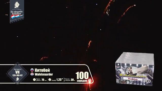 VH120-100-02 - Китобой 100 зар. *1,25"