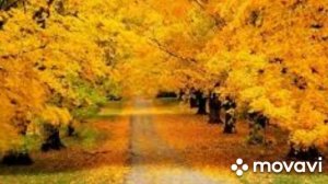 Күз,күз жеке ән[+,- 87757674098]