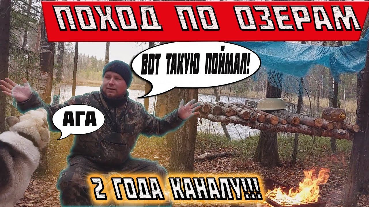 ЧТО БЫЛО НА ОЗЕРАХ? ОДИНОЧНЫЙ ПОХОД В ЛЕС. ПОТЕРЯЛ ПСА. СОБИРАЮ ЗАМОРОЖЕННЫЕ ГРИБЫ. ДВА ГОДА КАНАЛУ