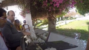 Обзор отеля MARITIM JOLIE VILLA 5* (Шарм-Эль-Шейх) Египет